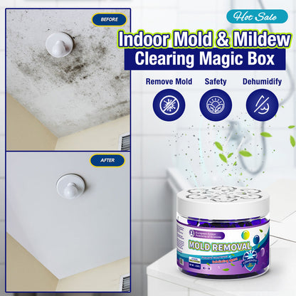 Kervalon® Indoor Mold & Mildew Clearing Magic Box