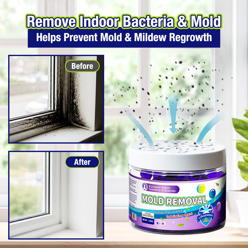 indoor plant mold treatment Kervalon® Indoor Mold & Mildew Clearing Magic Box