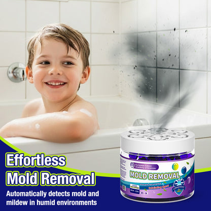 Kervalon® Indoor Mold & Mildew Clearing Magic Box