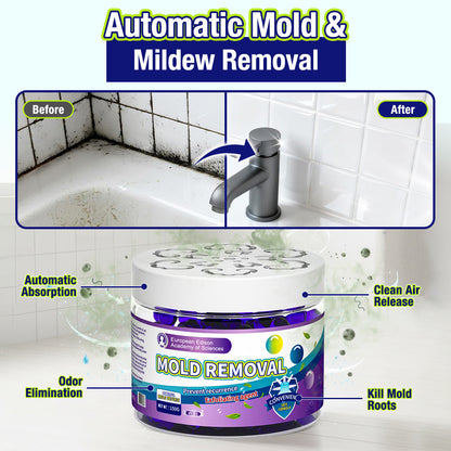 Kervalon® Indoor Mold & Mildew Clearing Magic Box