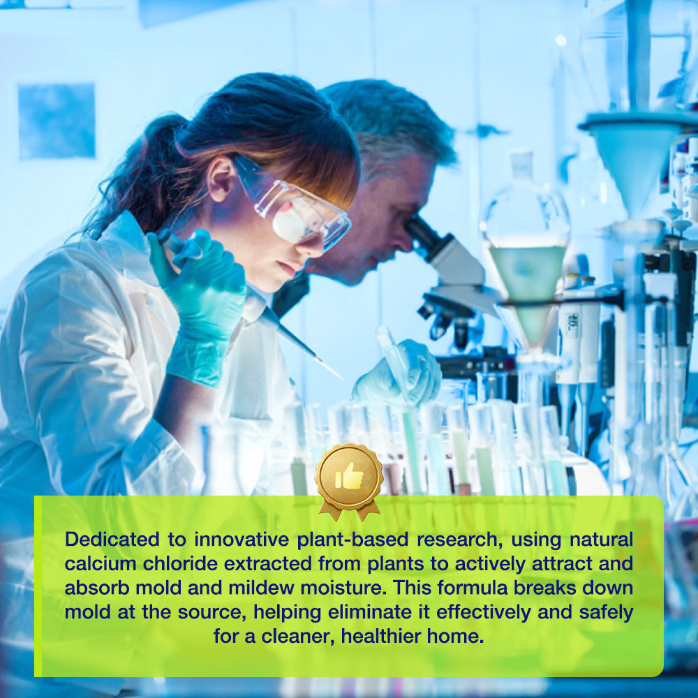 Kervalon® Indoor Mold & Mildew Clearing Magic Box